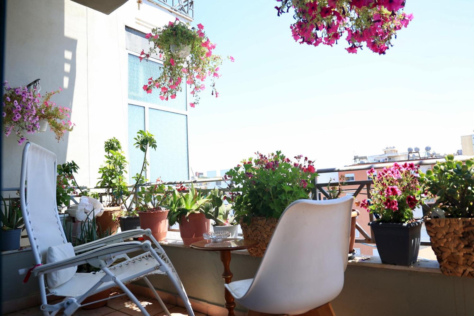 Appartement Rose Durrës